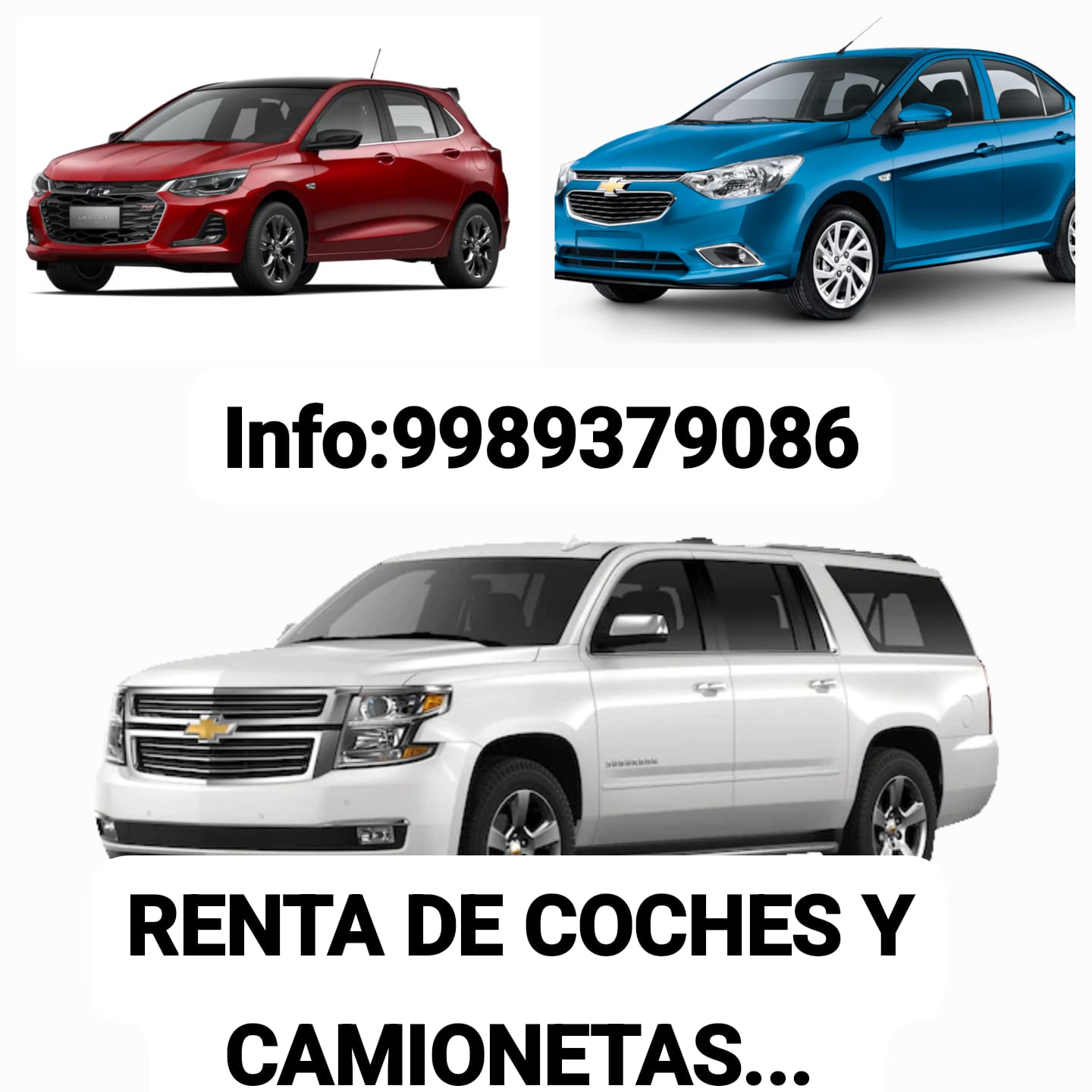 renta coches camionetas